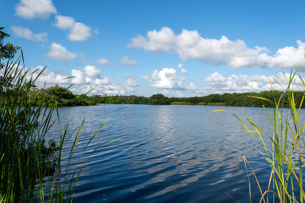 Everglades National Park image